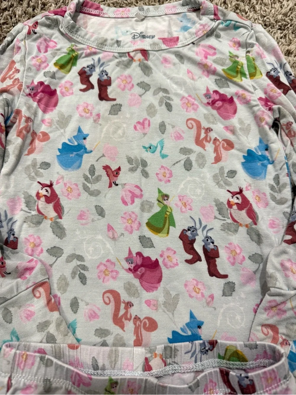 Posh Peanut X Disney Princess Toddler Girl Size 2T Bamboo Two Piece Set
